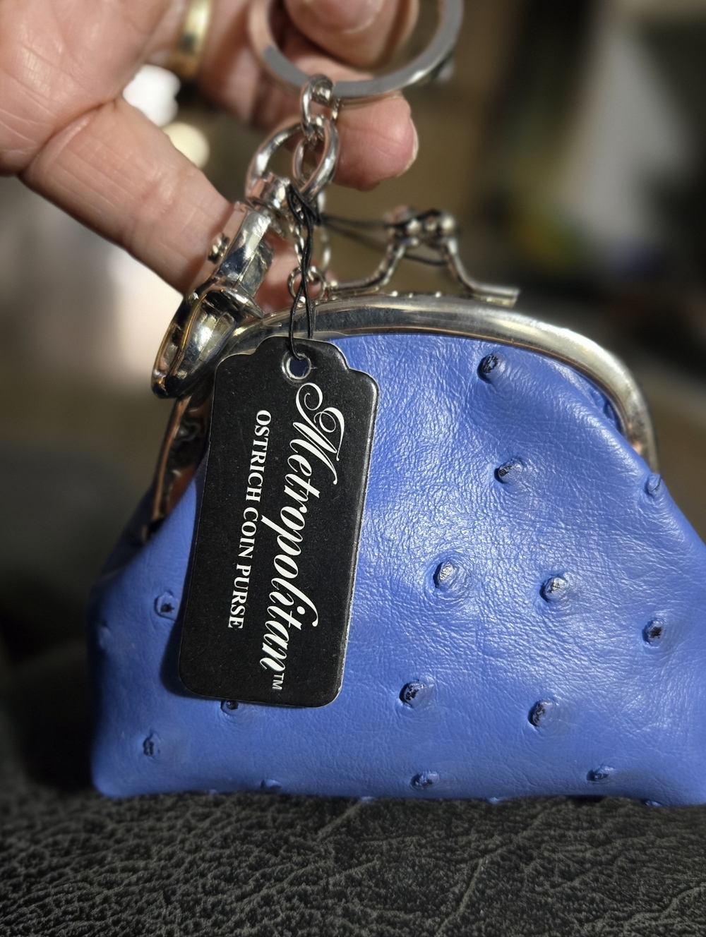 Metropolitan Ostrich Coin Purse - Blue, 4"×3"×1.5"